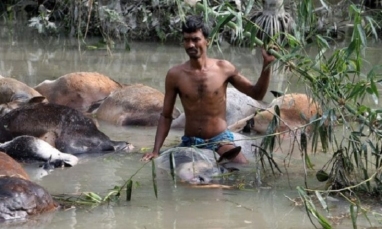 সারারাত পানিতে গাছ ধরে ভেসেছিলাম, ভ’য়াবহ এক বন্যার বর্ণনা…!!