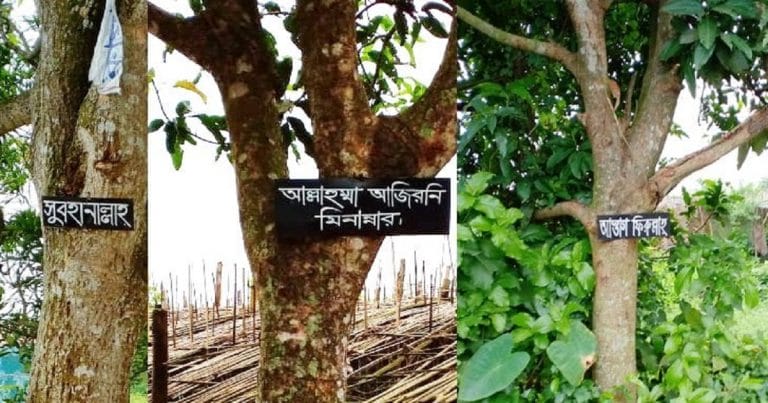 গাছে গাছে কোরানের আয়াত ও হাদিস লেখা, এলাকাবাসীর দাবি জামায়াত-শিবিরের কাজ