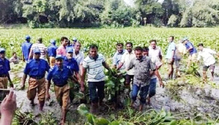 এবার কচুরিপানা নিয়ে ঘটলো দুই পক্ষের তুমুল মারামারি, আহত ২০ !!